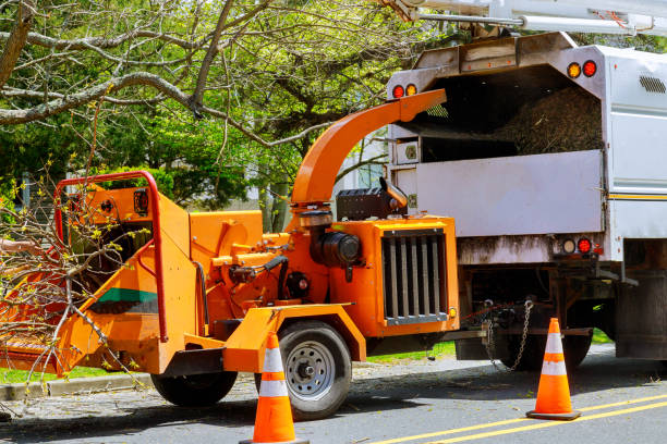 Best Firewood Processing and Delivery  in Mountain Top, PA